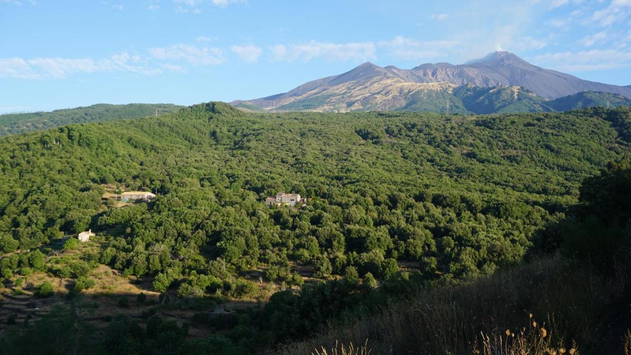 Casa Etnea Vendégház Trecastagni Kültér fotó